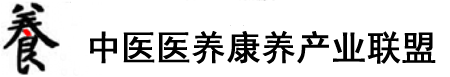 能看的大鸡吧视频